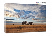 słonie chmury Afryka 100x70cm