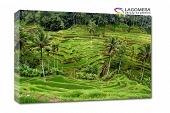 Indonezja 70x50cm