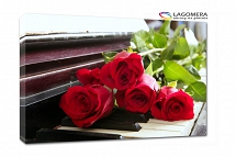 czerwone róże pianino 70x50cm