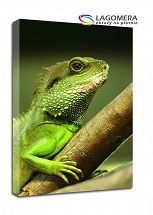 zielony kameleon gekon 70x50cm