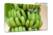 zielone banany 55x40cm