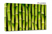 zielony bambus 120x90cm