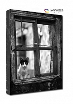 kot w oknie biało-czarne 55x40cm