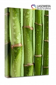 bambus 55x40cm