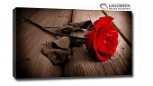 róża deski 100x70cm