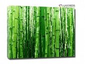 zielony bambus 55x40cm